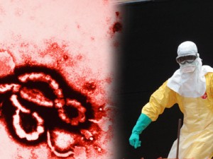 TEMA-ARTIKEL: Hvorfor vi er ved at tabe kampen mod Ebola