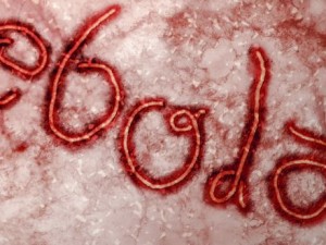 Usikkerhedsfaktorer omkring overførsel af Ebola truer <br>i horisonten, advarer amerikanske forskere