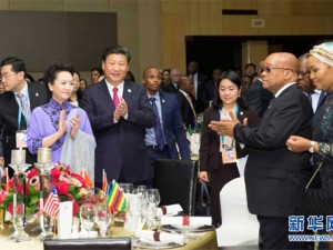 Xi Jinping: Kinesisk-afrikansk udviklingssamarbejde er en win-win strategi