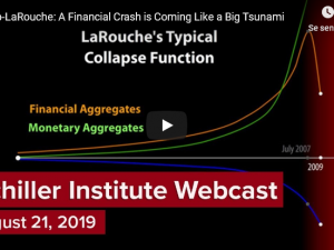Et økonomisk nedbrud kommer som en stor tsunami<br>Schiller Instituttets ugentlige webcast med helga Zepp-LaRouche den 21. august