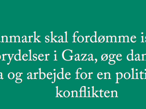 Folketinget skal nu tage stilling til borgerforslaget: <br>Danmark skal fordømme israelske krigsforbrydelser i Gaza, <br>øge dansk bistand til Palæstina og arbejde for en politisk løsning på konflikten