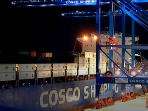 Vi Skylder Menneskehedens Flertal og Dem, Der Endnu Ikke Er Født:<br> Handl Nu for at Skabe en Ny Æra