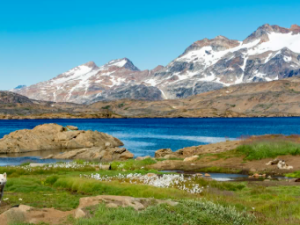 Grønland: Alle partiledere i det nye parlament siger nej til Trumps erklæringer om annektering