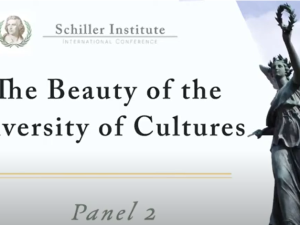Panel 2: Skønheden i kulturernes mangfoldighed