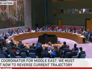 Dr. Feroze Sidhwa siger til FN’s Sikkerhedsråd: <br>Stop rædslerne i Gaza, ellers mister menneskeheden sin ›kollektive samvittighed‹