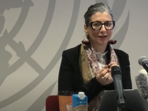 Albanese, FN-eksperter, opfordrer til ekstraordinært møde i FN’s Generalforsamling om Gaza og resolutionen »Forenet for fred«