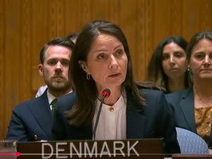 Danmark fremlægger Gaza resolution ved FN sikkerhedsråds møde den 18. september 2025