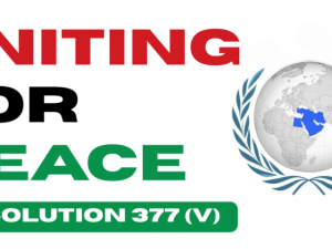Lad os støtte FN’s resolution 377 for at standse folkemordet i Gaza
